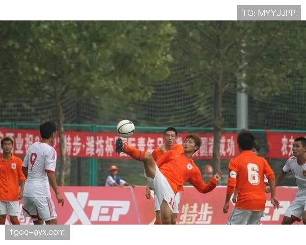 黄潜球队结构解析：当前阵容配置与战术体系分析