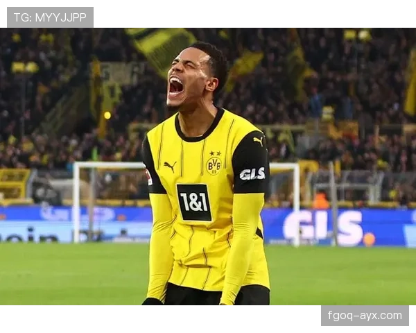 多特蒙德进攻犀利但效率不稳定，当前阶段表现波动对赛季走势形成制约